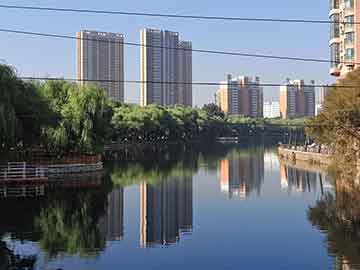 爱上海419论坛：The Development Path of Shanghai's Ice and Snow Sports