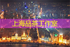 上海新茶工作室联系方式：上海后花园是个什么样的地方？快来一探究竟！