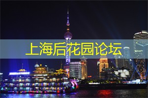 上海新茶工作室微信：限量开放！抢先体验上海最高级的豪华足浴服务