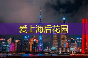 爱上海：您将遇到一群专注于茶艺和茶叶品质的茶叶师傅