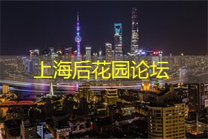 上海品茶网：省略号 的肆意滥横